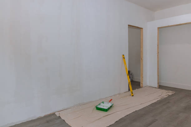 Biohazard Mold Removal in Verdi, NV
